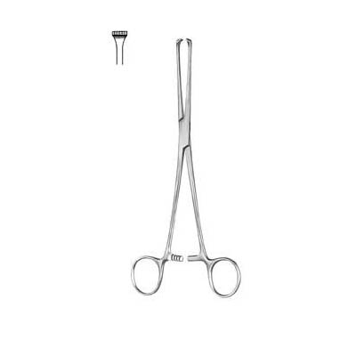 Thoms-Allis Intestinal and Tissue Grasping Forceps