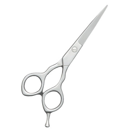 Barber Scissors