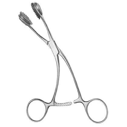 Young Tongue Holding Forceps