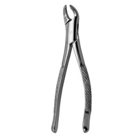 Extracting Forceps #151S