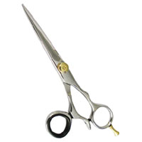 Barber Scissors