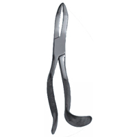 Tooth Forcep