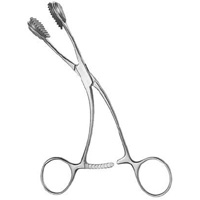 Young Tongue Holding Forceps